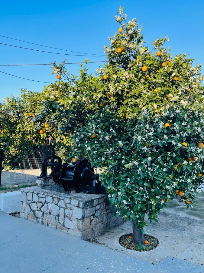 Villa Citrus Garden Epidaurus Exterior foto