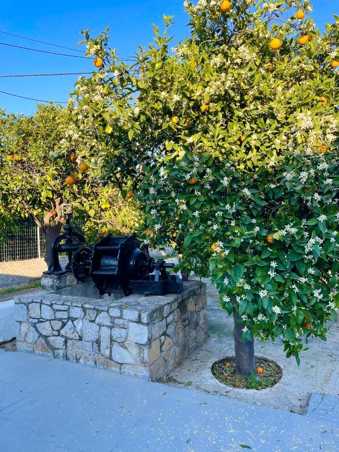 Villa Citrus Garden Epidaurus Exterior foto