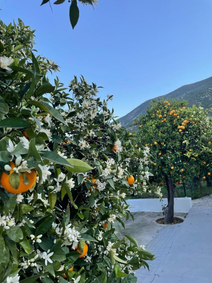 Villa Citrus Garden Epidaurus Exterior foto